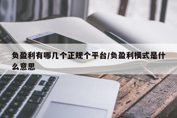 负盈利有哪几个正规个平台/负盈利模式是什么意思