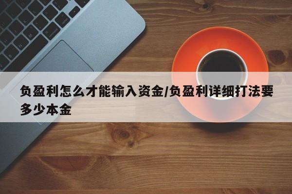 负盈利怎么才能输入资金/负盈利详细打法要多少本金