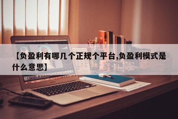 【负盈利有哪几个正规个平台,负盈利模式是什么意思】