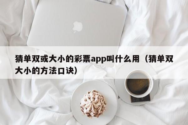 猜单双或大小的彩票app叫什么用(猜单双大小的方法口诀)